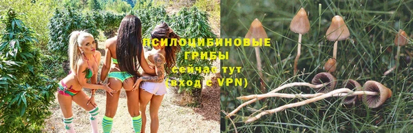 скорость Горняк