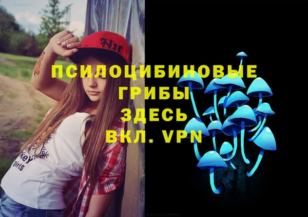 скорость Горняк