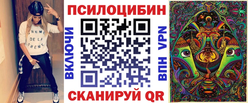 Галлюциногенные грибы Psilocybine cubensis  где можно купить   Можайск 
