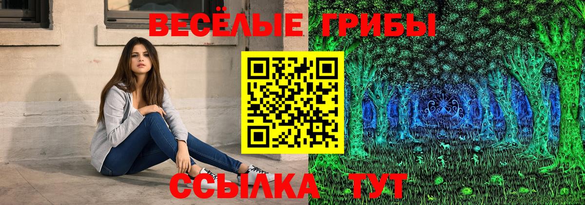 Псилоцибиновые грибы прущие грибы  Галлюциногенные грибы Magic Shrooms  магазин продажи наркотиков  Можайск 