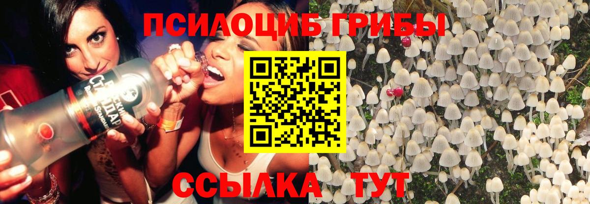 Галлюциногенные грибы мицелий Можайск