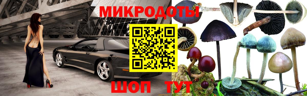 Галлюциногенные грибы Psilocybine cubensis  Вход с VPN  Галлюциногенные грибы ЛСД  Можайск 
